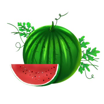 Organic food grade Watermelon seed Oil